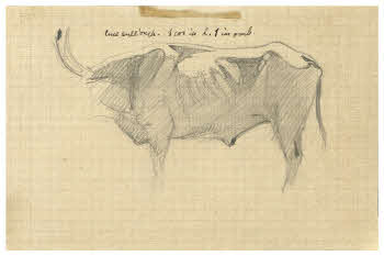 Visualizza l'immagine "FD D 251"